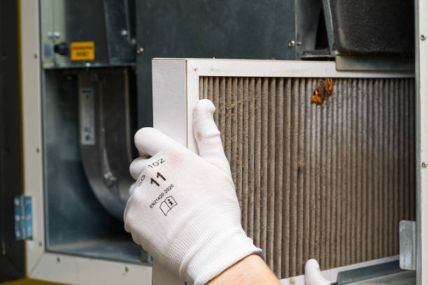 Best Commercial Air Duct Cleaning  in Eminence, KY