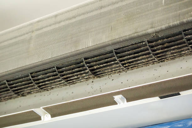 Best Professional Duct Cleaning Services  in Eminence, KY
