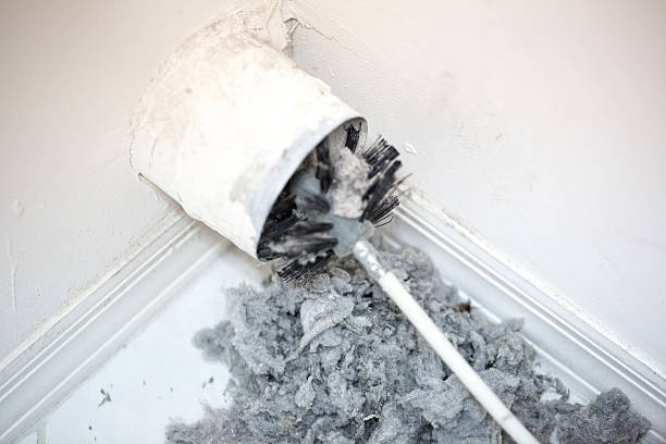 Best Air Duct Mold Removal  in Eminence, KY